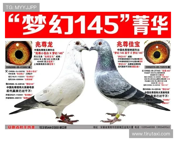 深入分析ag尊龙官方网站的游戏玩法与规则