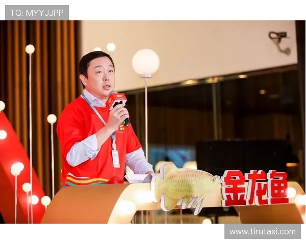 金龙体育直播如何提升观看体验实现高清画质和流畅播放的完美结合